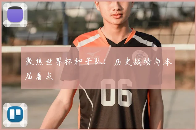 聚焦世界杯种子队：历史战绩与本届看点